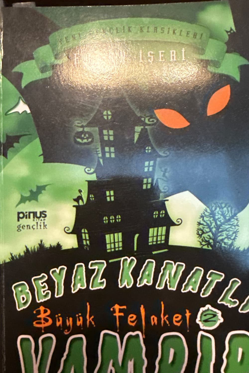 Beyaz kanatlı vampir büyük felaket (2. Kitap) kapak görseli